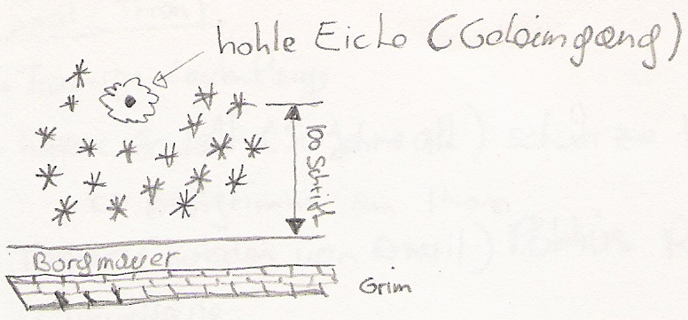 Datei:Burg Talbruck Lage der Eiche.jpg