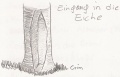 Die hohle Eiche